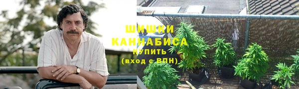 каннабис Радужный
