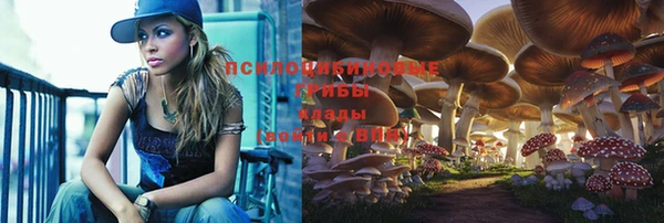 a pvp Пыталово