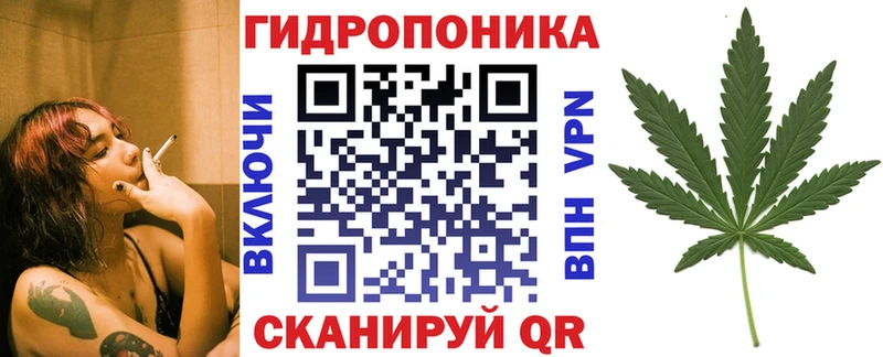 купить наркотик  Сысерть  Бошки марихуана OG Kush 
